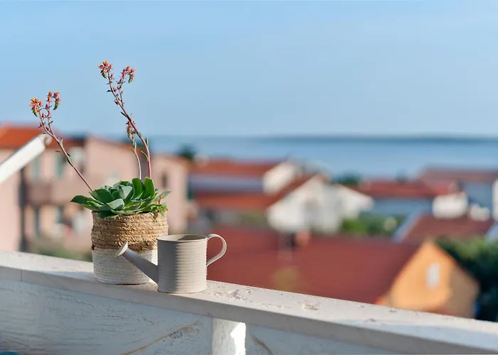 Family Gligora Apartamento *